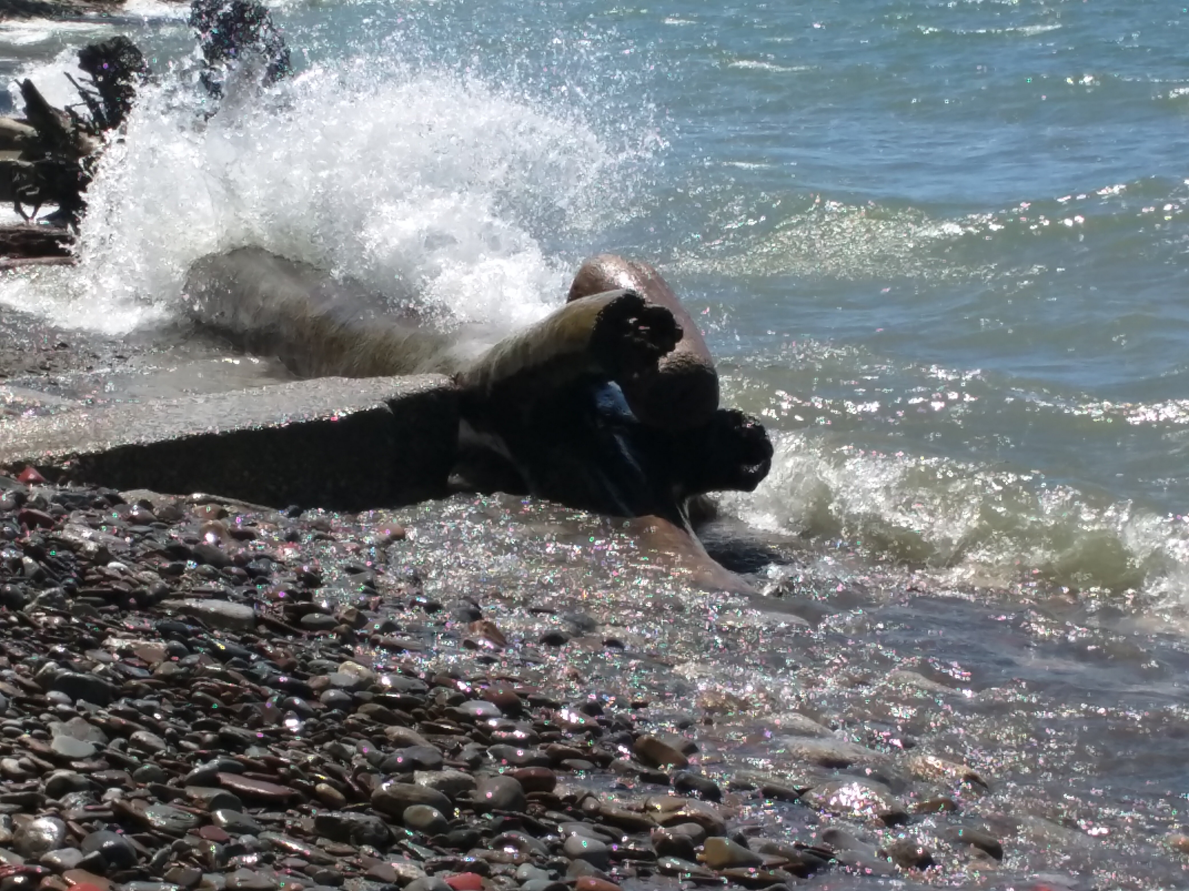 Lake Erie Splash