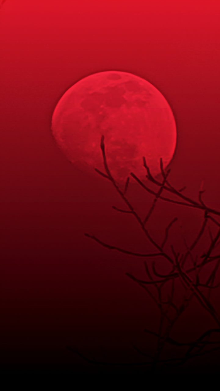 Red Day Moon