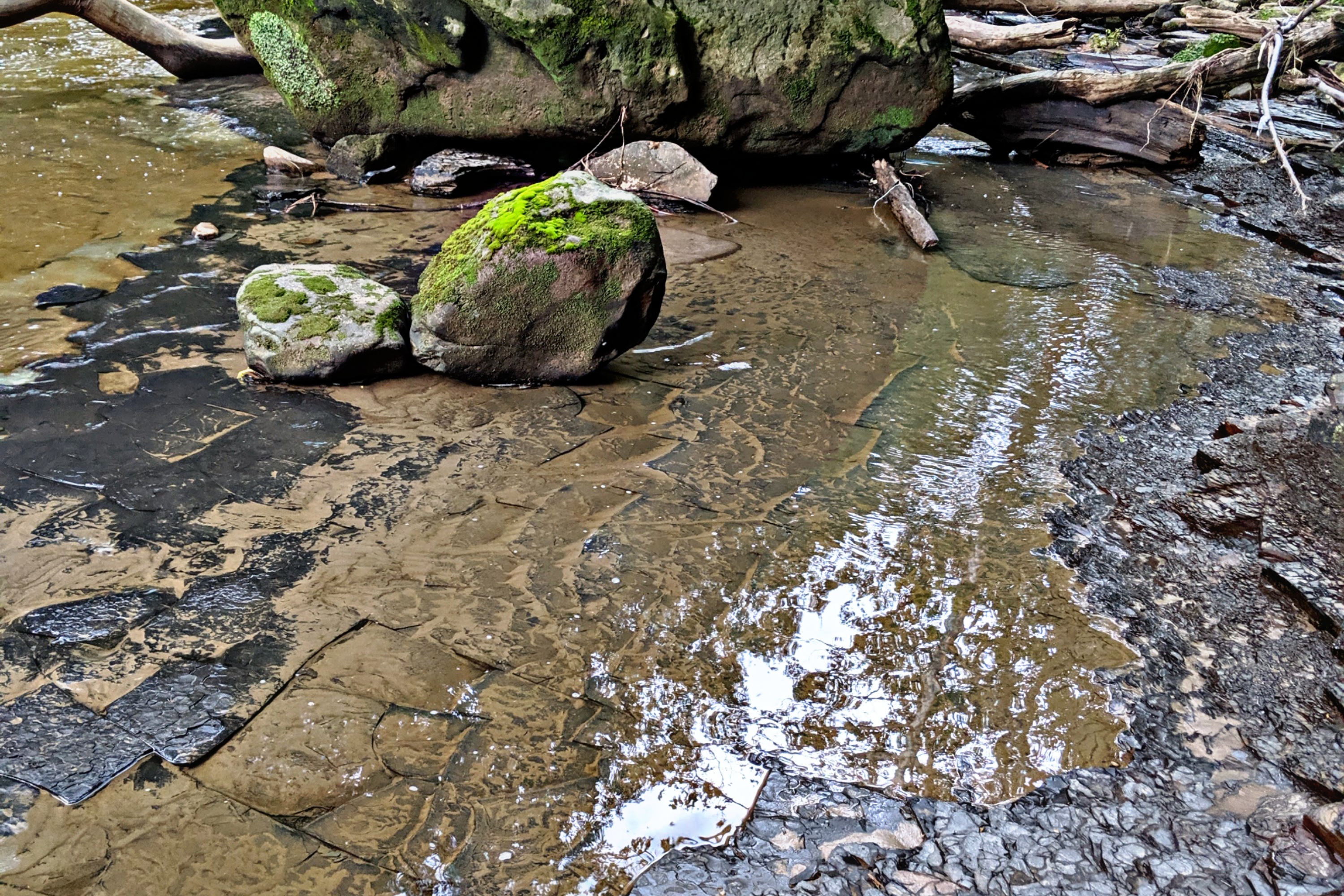 Shale Reflection